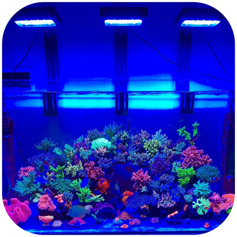 Chihiros NOVA 1 Marine LED - oświetlenie akwarium