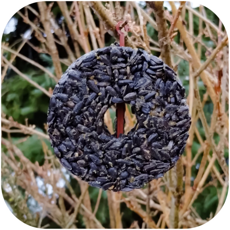 Gami sunflower seeds - food for wild birds