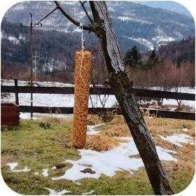 Gami Kolba XXL with worms for wild birds