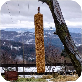 Gami Kolba XXL alimento para aves silvestres