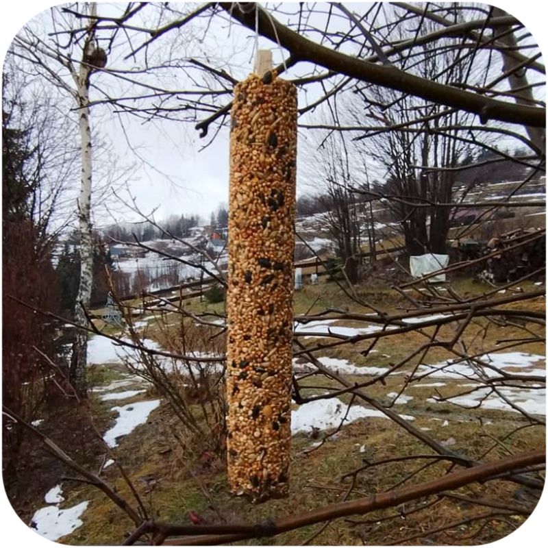 Gami Kolba XXL alimento para aves silvestres