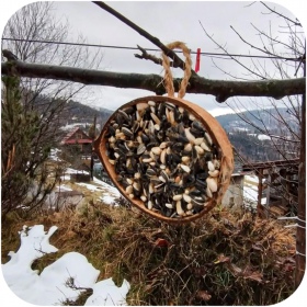 Gami sunflower seeds food for wild birds