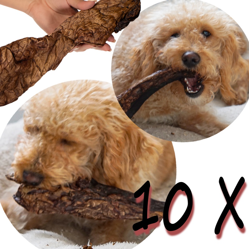 Dogario Bonni Smooth Meat Chews XXL