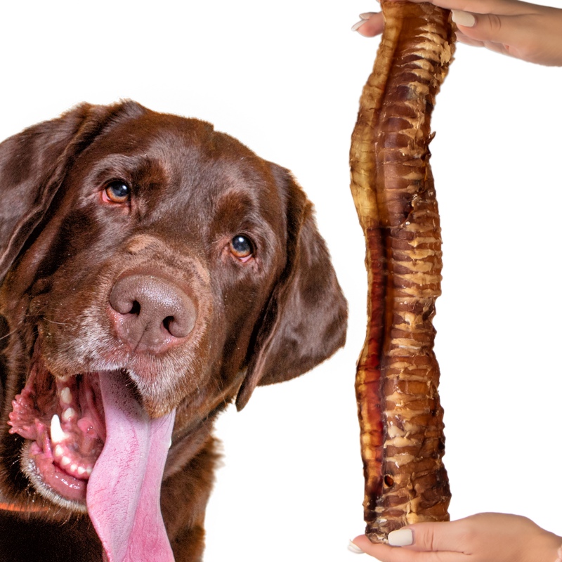 Snack crujiente para perros grandes