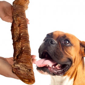 Snack crujiente para perros grandes