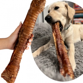 Snack crujiente para perros grandes