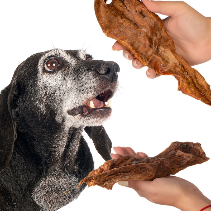 Soft beef meat treats for dogs