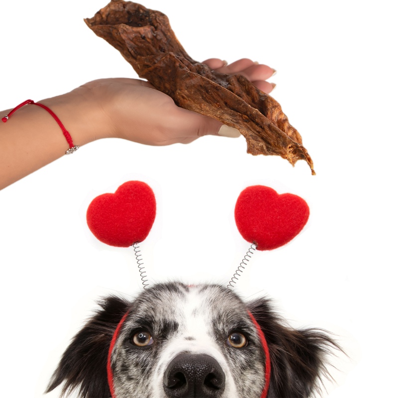 Soft beef meat treats for dogs