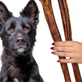 Dogario Bonni Penis Long - guloseima para cães