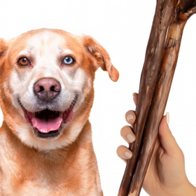 Dogario Bonni Long Crisp - Snack para cães