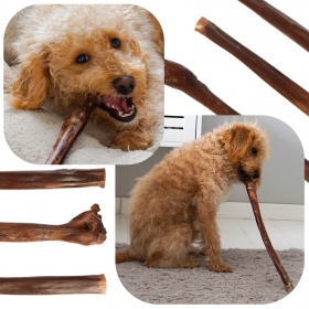 Dogario Bonni Long Crisp 30cm - Hundesnack