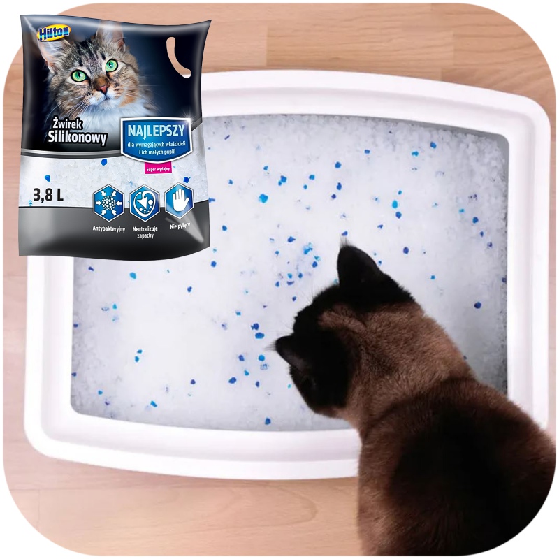 Litière pour chat Hilton en silicone 3,8l