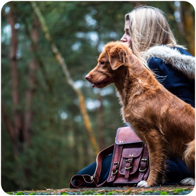 Snack Hilton Petto di Anatra Morbido per Cani