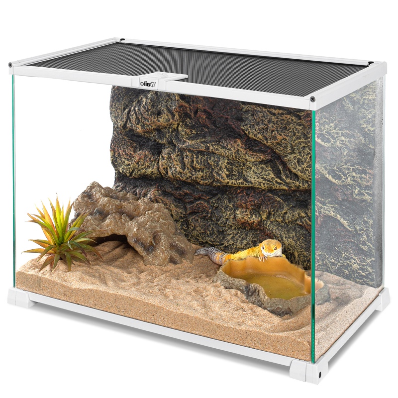 OiiBO Terrarium RAK05W