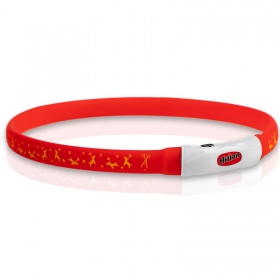 Hilton Flash Collar in Red - Adjustable LED Safety