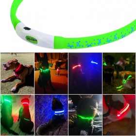 LED-Halsband Hilton - Sicherheit für den Hund