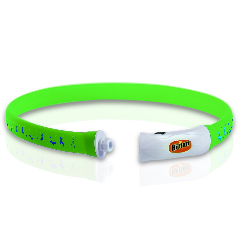 Hilton Flash LED collar in green