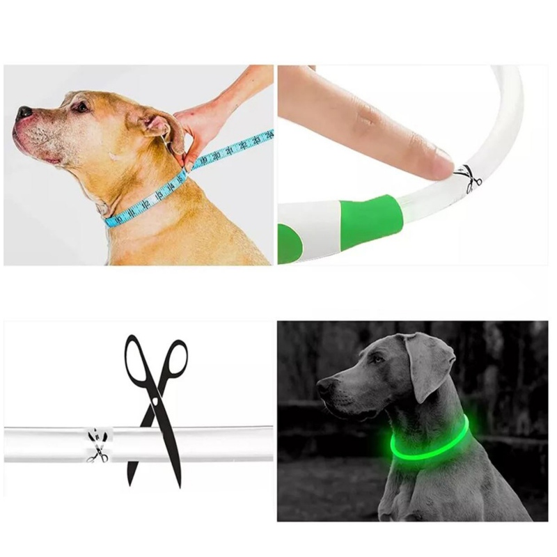 Hilton Flash Collar GREEN - obroża świecąca LED od 15cm - 55cm