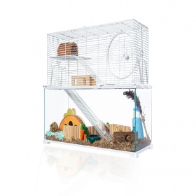 OiiBO Terrarium RAK08WST pour rongeurs