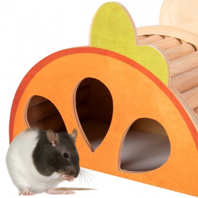 OiiBO Wooden House for rodents