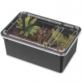 Terrario Reptiland Black 19x12x7,5cm - czarne terrarium faunarium