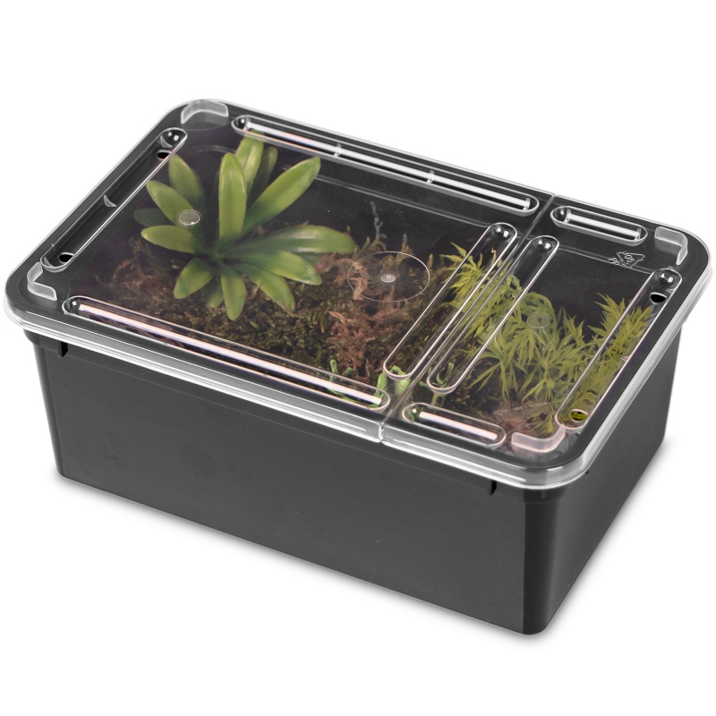 Terrario Reptiland Black 19x12x7,5cm - czarne terrarium faunarium