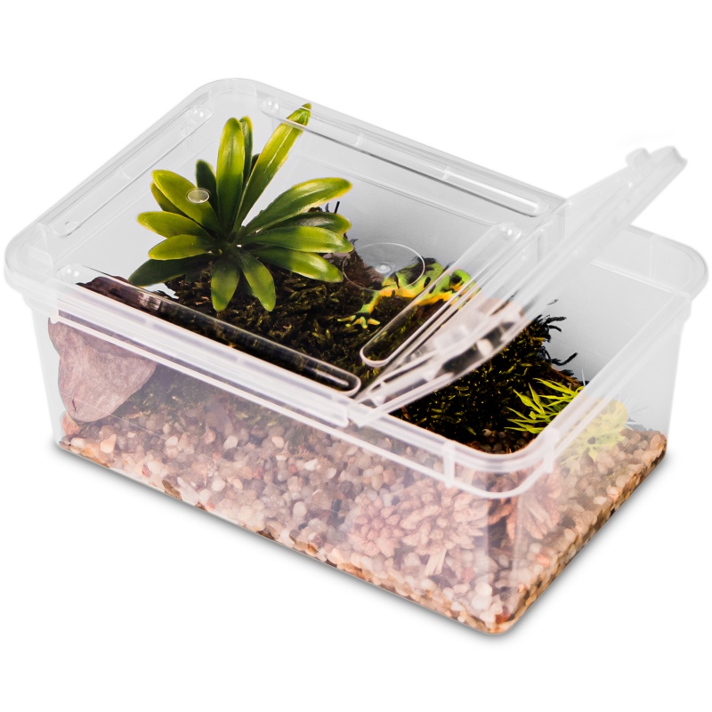 Terrario Reptiland - plastikowe terrarium 19x12x7,5cm