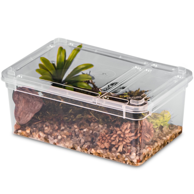 Terrario Reptiland - plastikowe terrarium 19x12x7,5cm