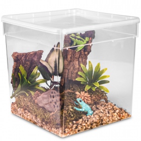 Gjennomsiktig plastterrarium 19x19x19cm