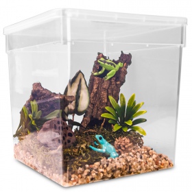 Terrario ReptiBox 19x19 см - прозрачный террариум