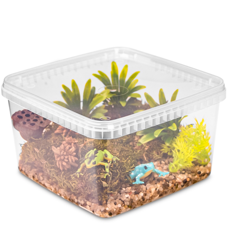 Terrario ReptiBox 19x19x12 cm - przeźroczyste terrarium