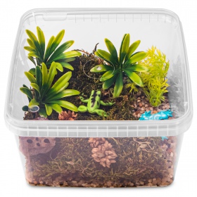 Terrarium ReptiBox transparent pour reptiles