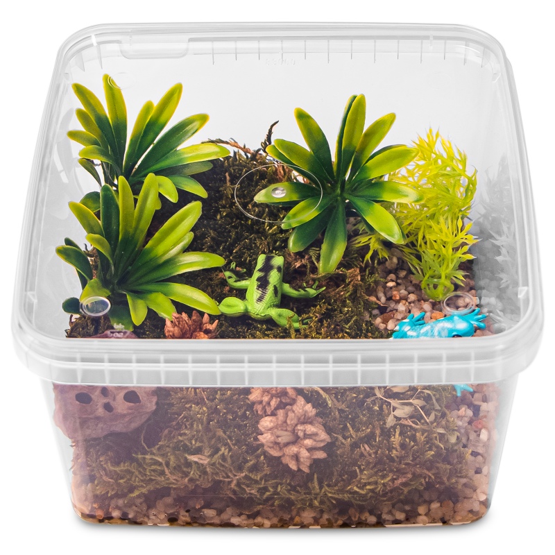 Terrario ReptiBox 19x19x12 cm - przeźroczyste terrarium