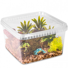 Terrario ReptiBox 19x19x12 cm - przeźroczyste terrarium