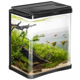 Kruger Meier Arona Aquarium 3l - Nowoczesny Zestaw