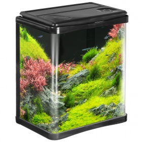 Kruger Meier Arona Aquarium 3l - Nowoczesny Zestaw