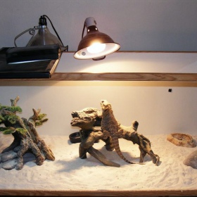 EXO TERRA Intense Basking Spot 75W