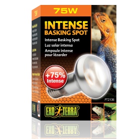 EXO TERRA Intense Basking Spot 75W verwarmingslamp