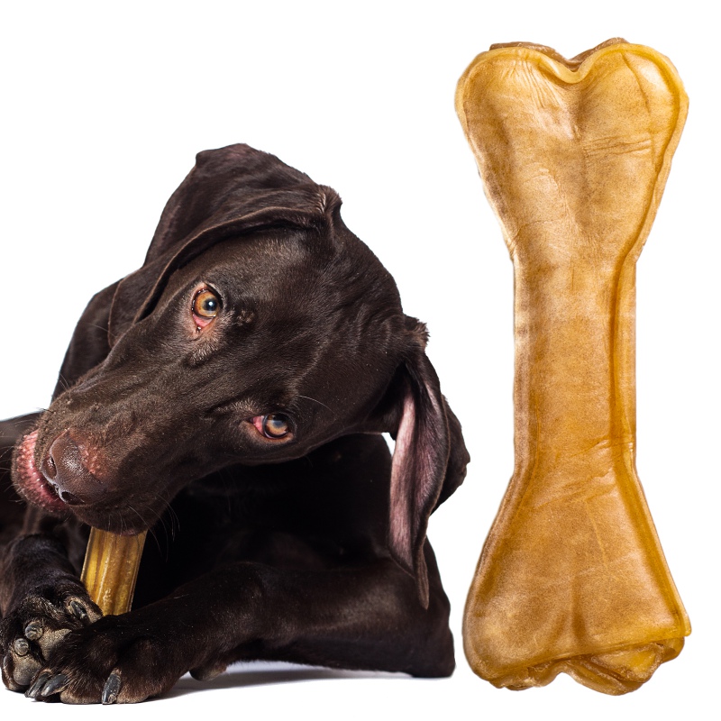 Dogario Bonni Super Bone XL chew toy