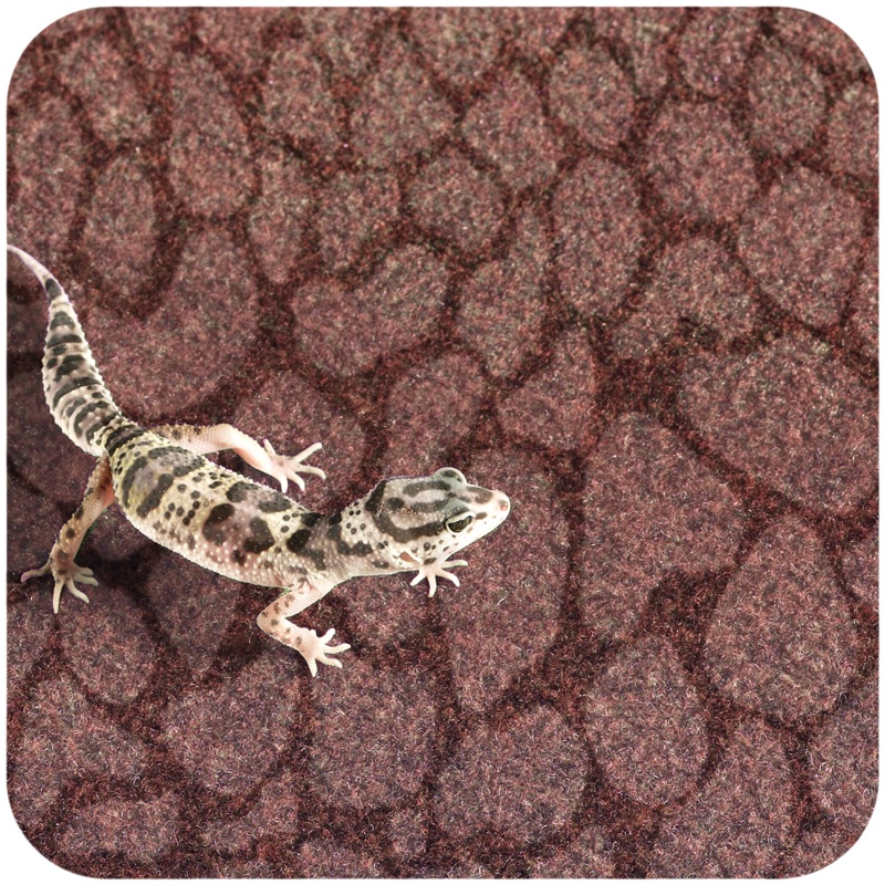 Resun Desert Carpet Mat - mata do terrarium 80x30cm