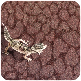 Resun Desert Carpet Mat - mata do terrarium 50x20cm