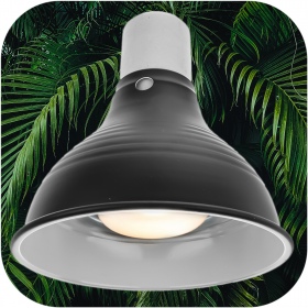 Resun Lampe Noire pour Reptiles