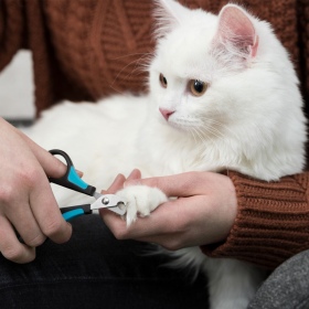 Trixie nail scissors for pets