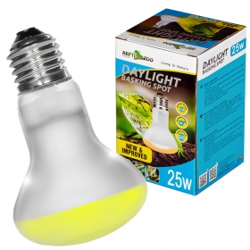 Repti-Zoo 25W - Ideales Licht für das Terrarium