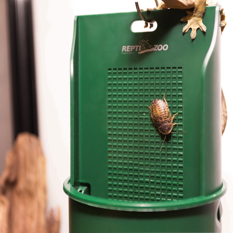 Repti-Zoo Arboreal Feeding Dish for Reptiles