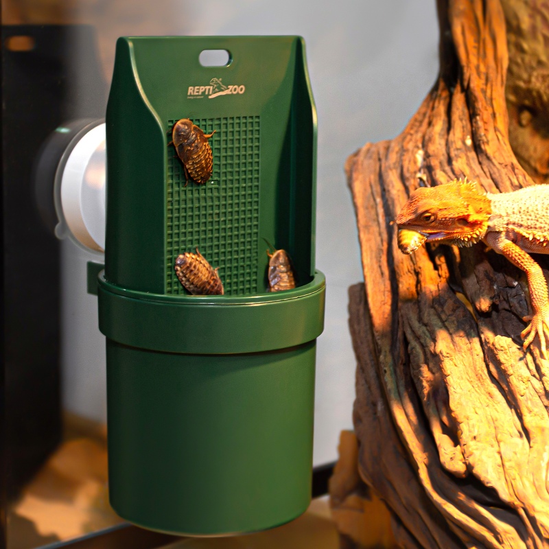 Repti-Zoo Arboreal Feeding Dish for Reptiles