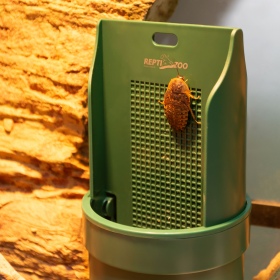 Repti-Zoo Arboreal Feeding Dish for Reptiles