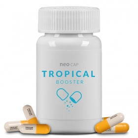 Neo Cap Tropical Booster - Alimento para bactérias