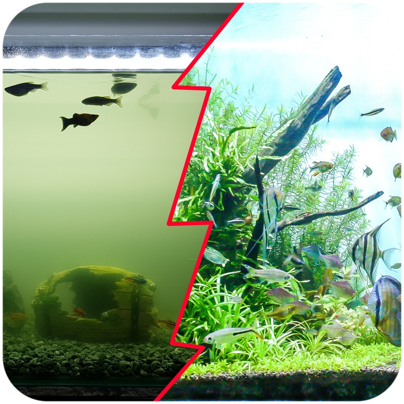 Filtro esterno Jecod CF-45 per acquario