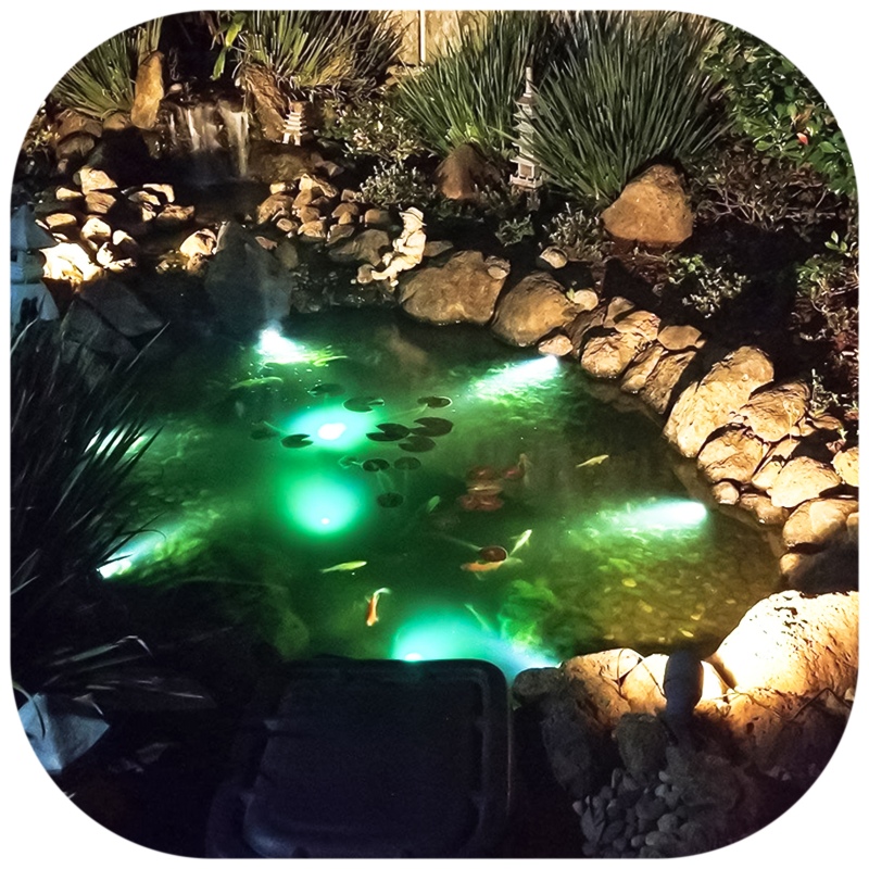 Jebao Pond Light - colored LED lights